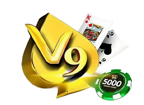 v9-image-img